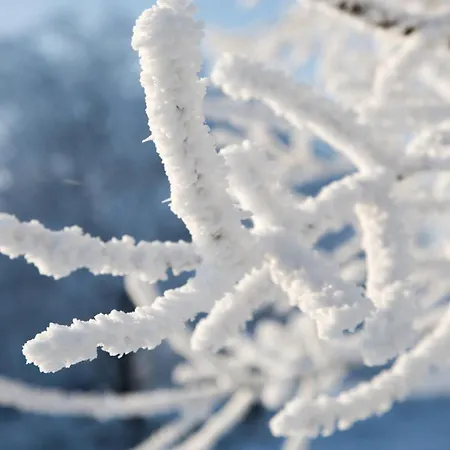 Appartement Loipenteufel - Zentral Modern & Am Lift Mit Garage Winterberg