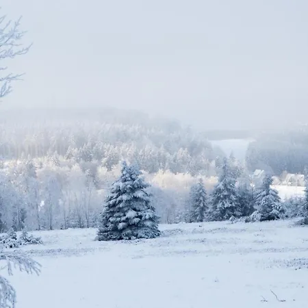 Loipenteufel - Zentral Modern & Am Lift Mit Garage * Winterberg