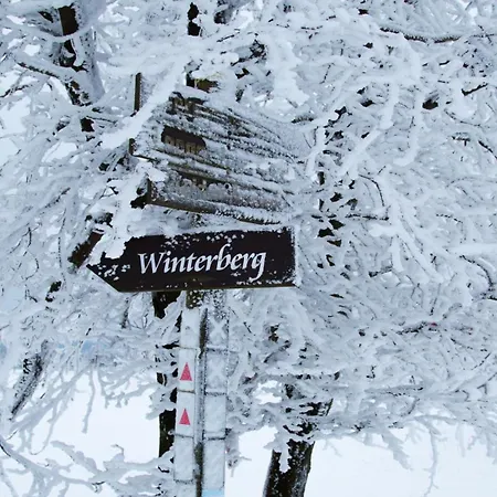 Loipenteufel - Zentral Modern & Am Lift Mit Garage Appartement Winterberg