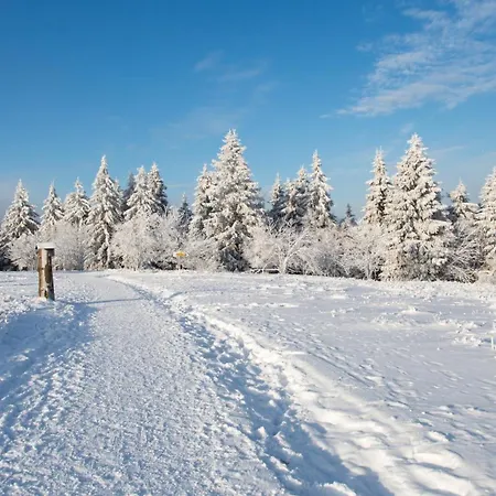 Appartement Loipenteufel - Zentral Modern & Am Lift Mit Garage *