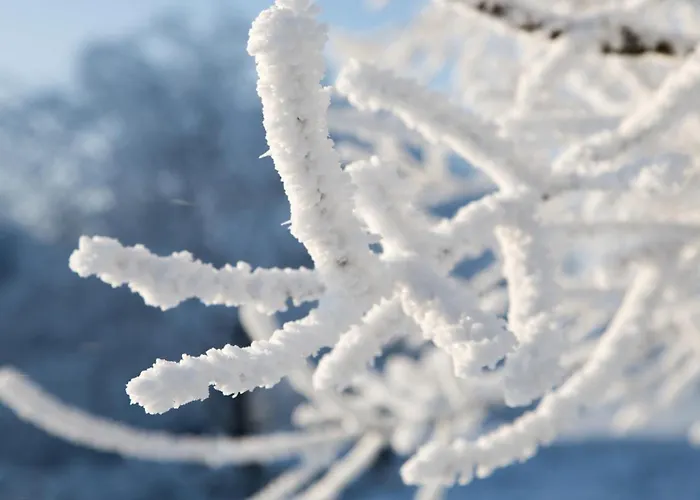 Lejlighed Loipenteufel - Zentral Modern & Am Lift Mit Garage Winterberg