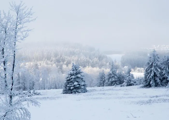 Loipenteufel - Zentral Modern & Am Lift Mit Garage * Winterberg