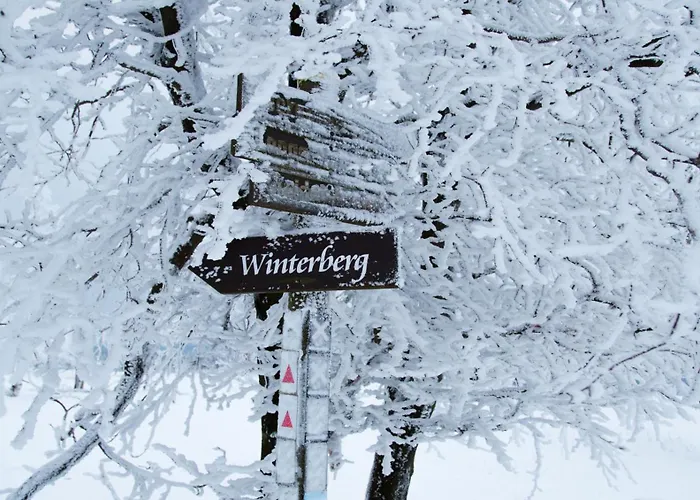 Loipenteufel - Zentral Modern & Am Lift Mit Garage Lejlighed Winterberg